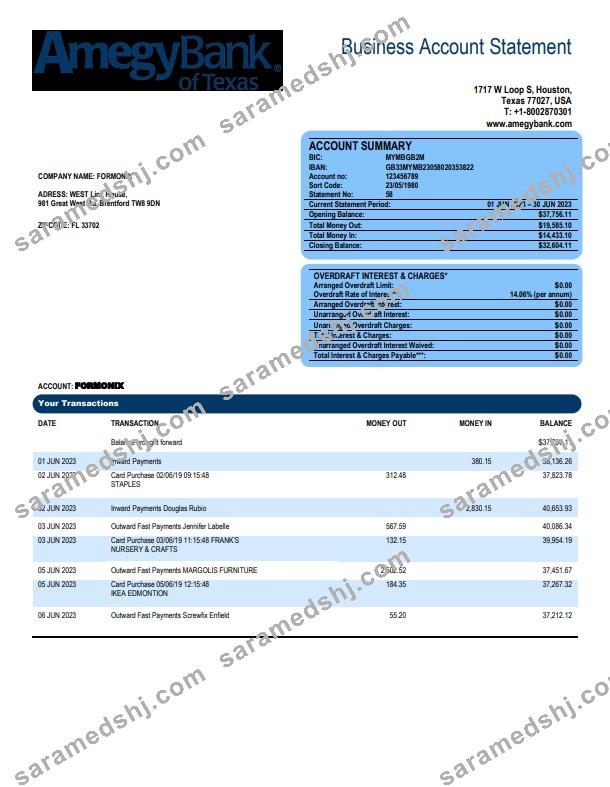 Amegy Corporation Bank organization account statement Word and PDF template